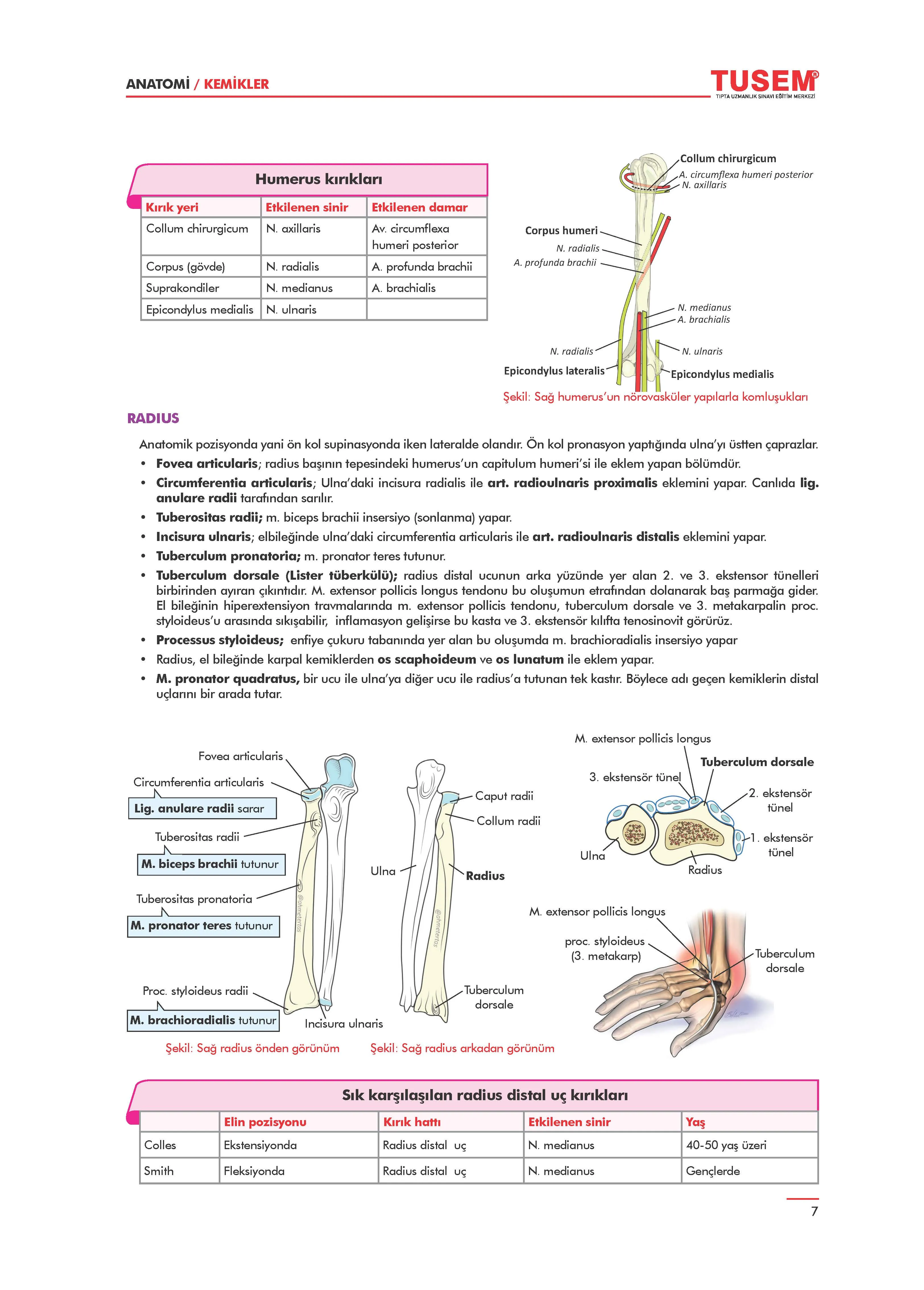TUS Konu Kitabı Anatomi - 3