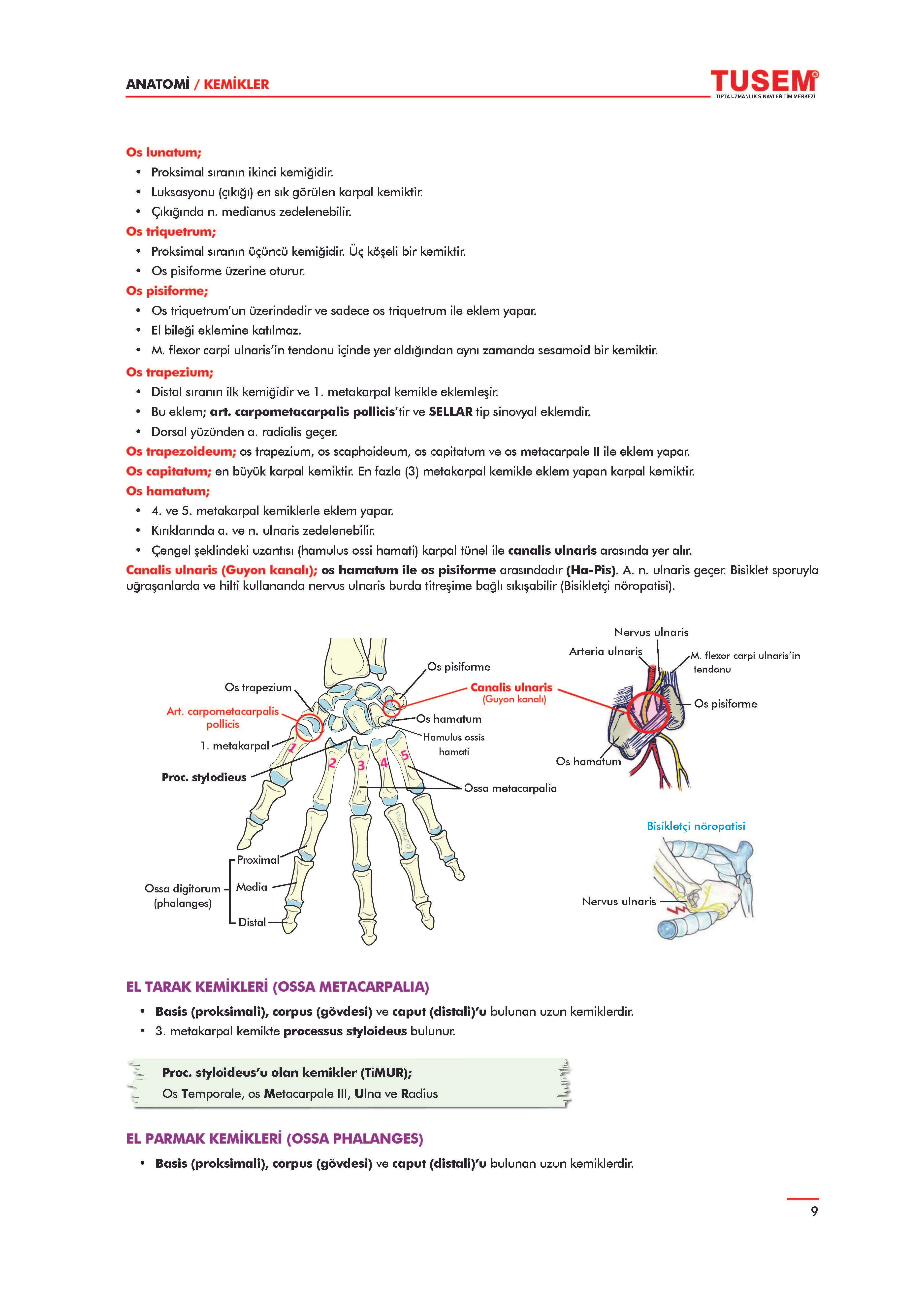 TUS Konu Kitabı Anatomi - 2