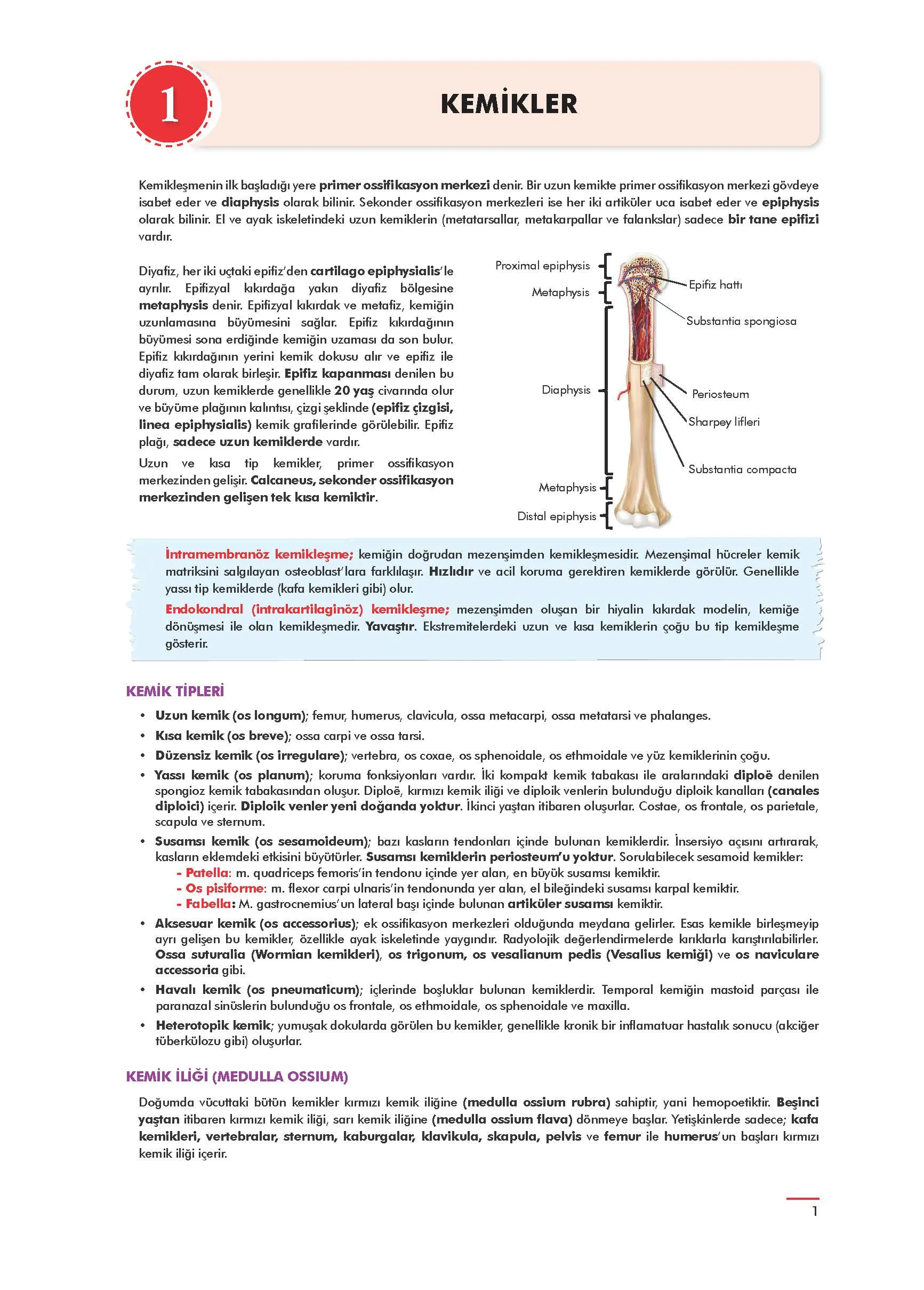 TUS Konu Kitabı Anatomi - 5